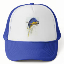 Blue and Yellow Maccaw by Edward Lear Mesh Hat