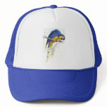 Blue and Yellow Maccaw by Edward Lear hats