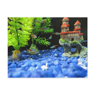 Blue Aquarium Postcards by AbiKat