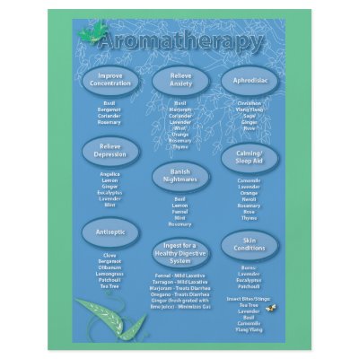 Blue Aromatherapy Chart Flyer by WellnessJunkie
