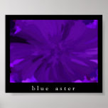 Blue Aster (Abstract Print)