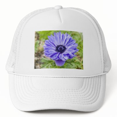 Blue Aster Flower Baseball Cap Hats by PerennialGardens