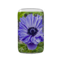 Blue Aster Flower Blackberry Bold Case