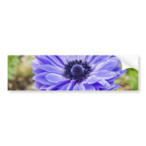 Blue Aster Flower Bumper Sticker