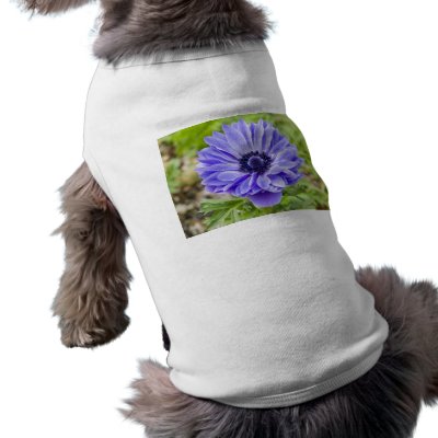 Blue Aster Flower Dog Shirt by PerennialGardens