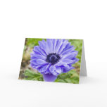 Blue Aster Flower Greeting Card