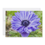 Blue Aster Flower Invitation