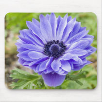 Blue Aster Flower Mouse Pad