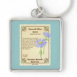 Blue Aster Seed Packet