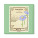 Blue Aster Seed Packet