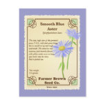 Blue Aster Seed Packet