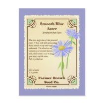 Blue Aster Seed Packet
