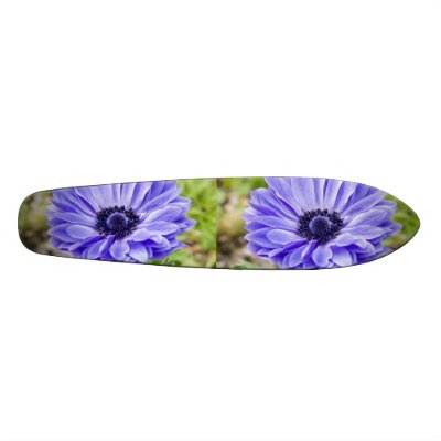 Blue Aster Skateboard by PerennialGardens