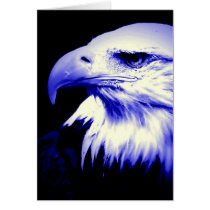 Blue Bald Eagle