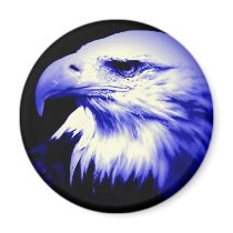 Blue Bald Eagle