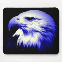 Blue Bald Eagle