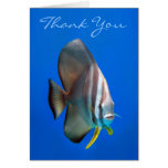 Blue Bat Fish Thank You Card