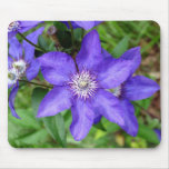 Blue Beauty mousepads