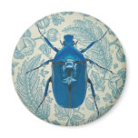 Blue Beetle on Feathery Blue Leaves Magnets