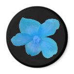 Blue Begonia Magnet