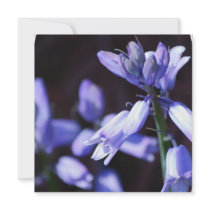 Blue Bell Flowers Invitations