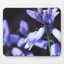 Blue Bell Flowers  Mouse Pad