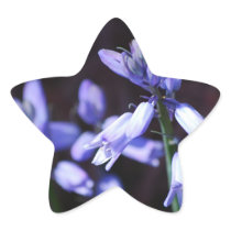 Blue Bell Flowers  Stickers