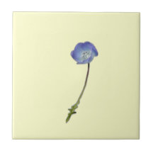 Blue Bell Tile.