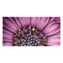 Blue Bell Tunicate Centered with antique filter Personalized Photo Card