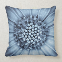 Blue Bell Tunicate Centred with Selenium Filter Pillows