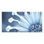 Blue Bell Tunicate with Selenium Filter Photo Card