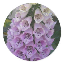 Blue Bells Sticker