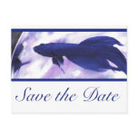 Blue Betta Fish Save The Date Postcards