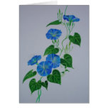 Blue Bindweed cards