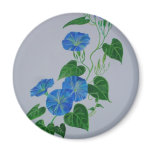 Blue Bindweed