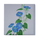Blue Bindweed Refrigerator Magnet