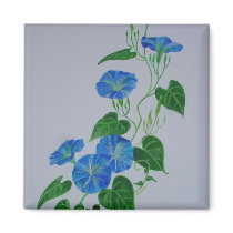 Blue Bindweed