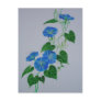 Blue Bindweed Postcard