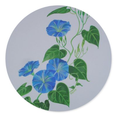 Blue Bindweed by taiche