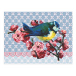 Blue Bird and Cherry Blossom Post Card