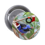 Blue Bird Christmas Pinback Buttons