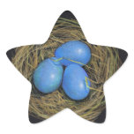 Blue Bird Eggs in Nest: Realism Art in Star Star Sticker