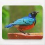 Blue Bird Mousepad
