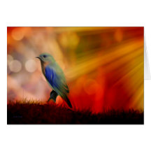 Blue Bird of Happiness Card