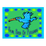 Blue Bird of Paradise 3 Post Cards