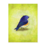 Blue Birdie Postcard