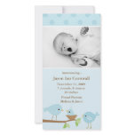 Blue Birds Birth Announcement photo cards