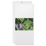 Blue black butterfly on purple flower, green leaf rack cards