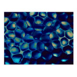 Blue blob cluster postcards