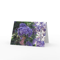 Blue Bloom White Stars Birthday Card